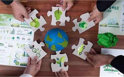 Sostenibilidad e internacionalización: cómo crecer globalmente sin perder el compromiso local