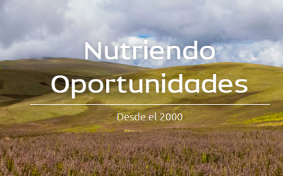 Asesoría a Alisur S.A.C: Estrategia de Internacionalización