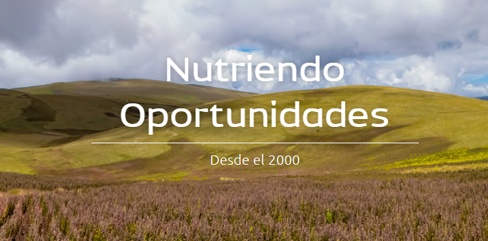 Asesoría a Alisur S.A.C: Estrategia de Internacionalización