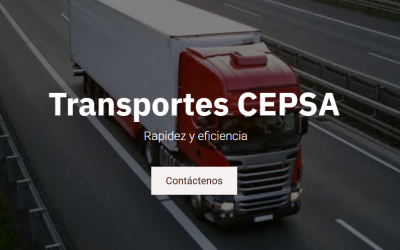 Asesoría en marketing digital para Transportes CEPSA S.A.C.