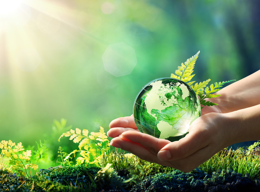 Hands Holding Globe Glass In Green Forest - Environment Concept - Element of image furnished by NASA