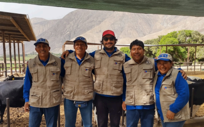 De la Producción Primaria a la Internacionalización: Estrategia Exportadora para Agropecuaria Piedra Rayada E.I.R.L._2026-10