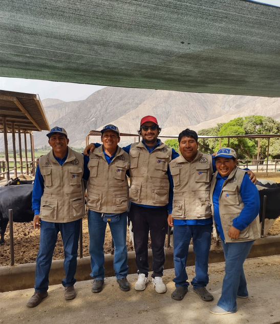 De la Producción Primaria a la Internacionalización: Estrategia Exportadora para Agropecuaria Piedra Rayada E.I.R.L._2026-10